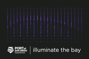 Illuminate the Bay Cover Animation