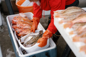 Commercial Fishing Photo